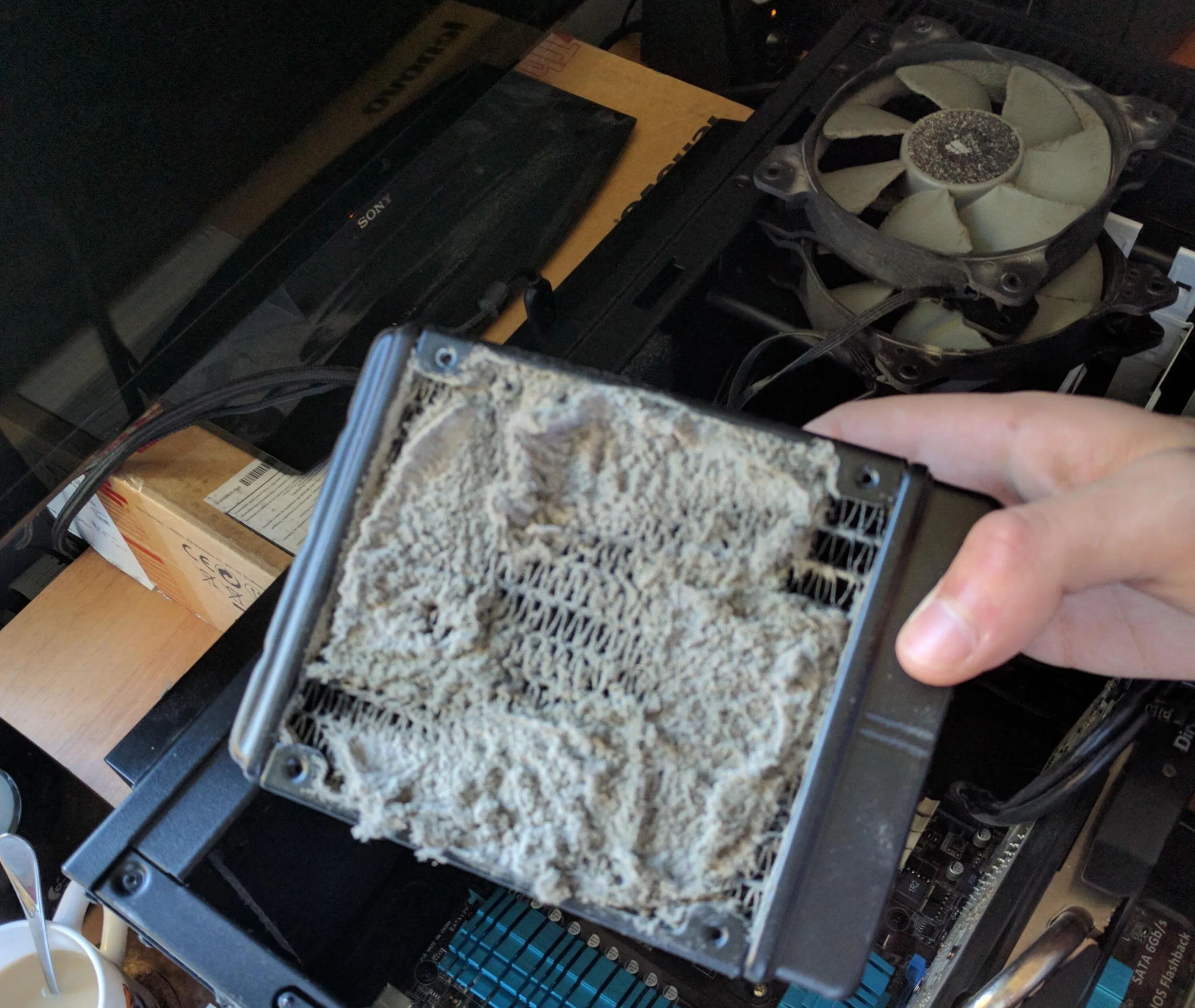 dust buildup in CPU