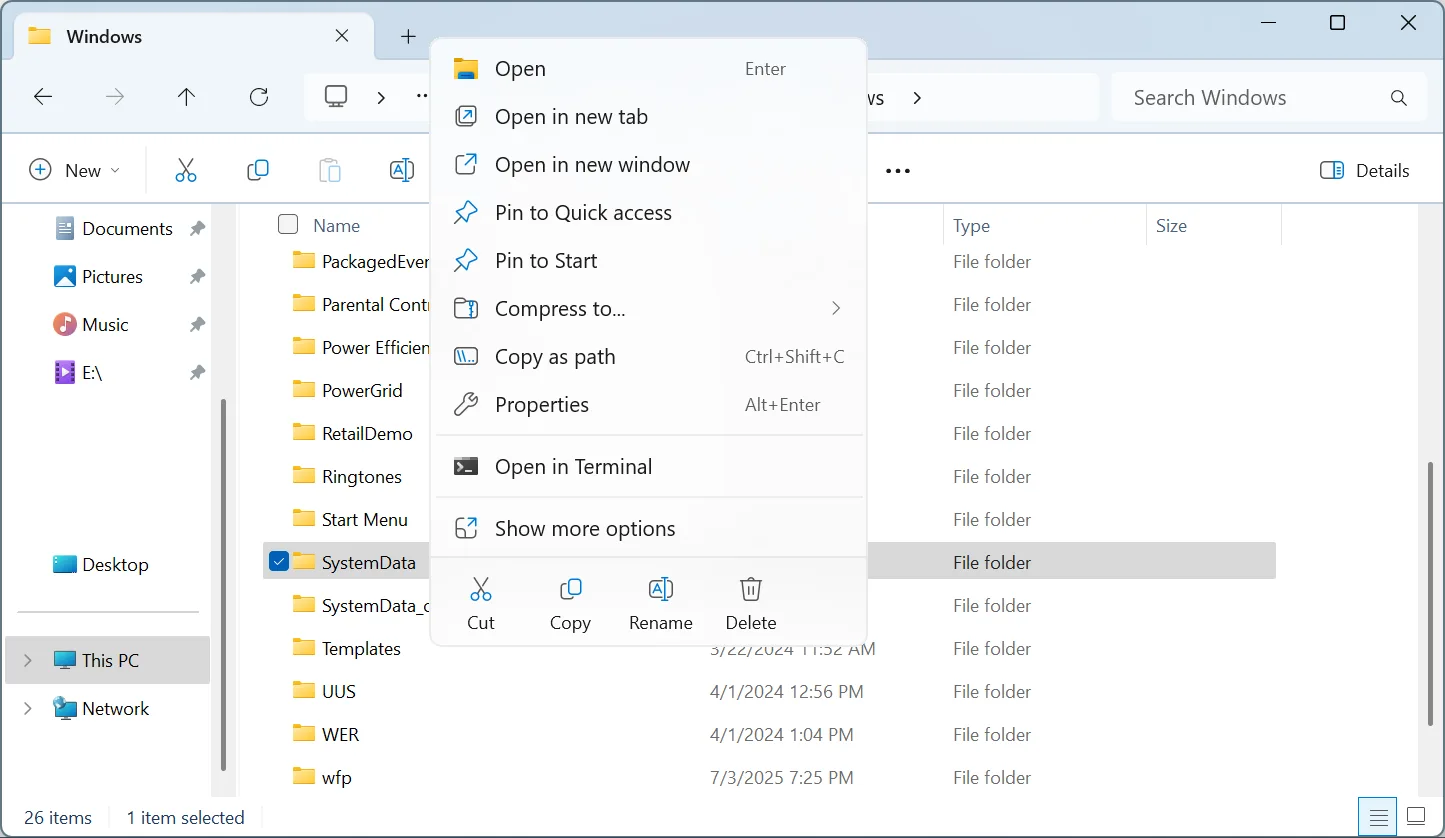 rename systemdata folder 