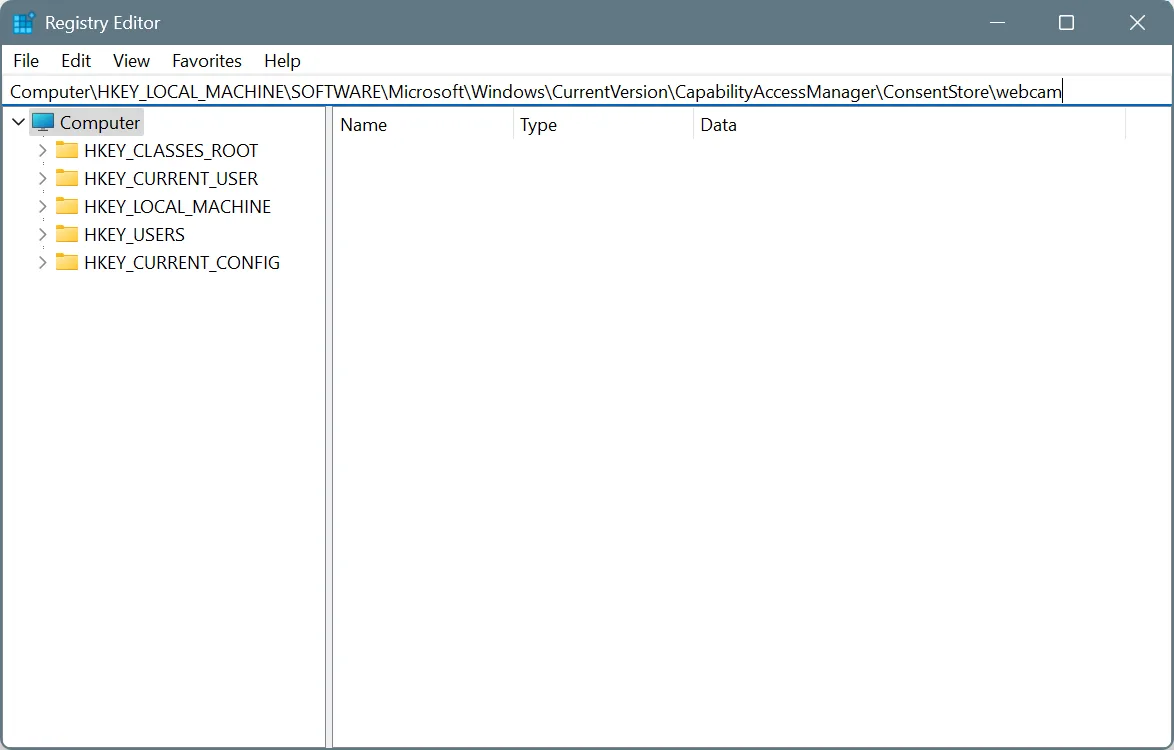 registry editor webcam path